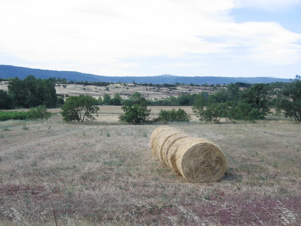 Gite Du Salagou Octon Exterior photo